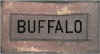 KS.BuffaloinFrg.jpg (12881 bytes)